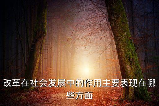 這次改革在當時起到了什么作用，改革在社會發(fā)展中的作用主要表現(xiàn)在哪些方面