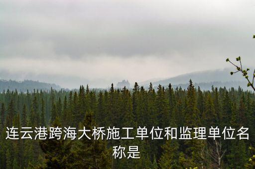 中交二航局什么平大橋，泰州長江公路大橋施工單位是