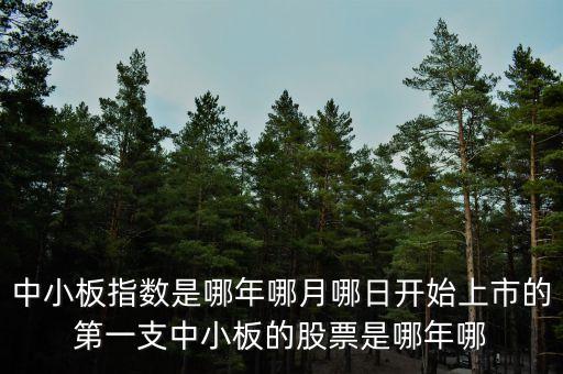上證a股000002什么時(shí)候上市的，中小板指數(shù)是哪年哪月哪日開(kāi)始上市的第一支中小板的股票是哪年哪