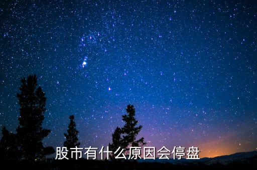 002203為什么停盤，股市有什么原因會停盤