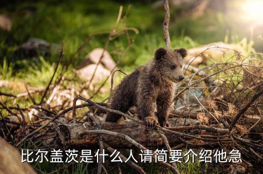 比爾蓋茨是個什么樣的人，比爾蓋茨是什么族裔的人