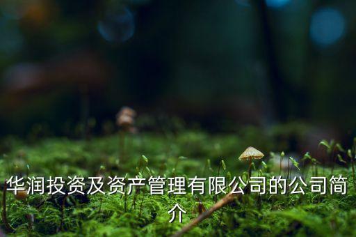 華潤投資及資產(chǎn)管理有限公司的公司簡(jiǎn)介
