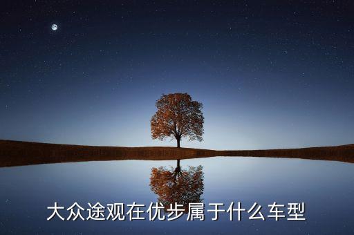 優(yōu)步都是什么車，跑優(yōu)步用什么車最好