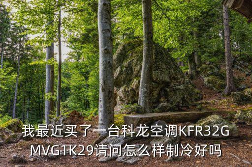 顧雛軍為什么瞄準(zhǔn)科龍電器，科龍空調(diào)信得過嗎