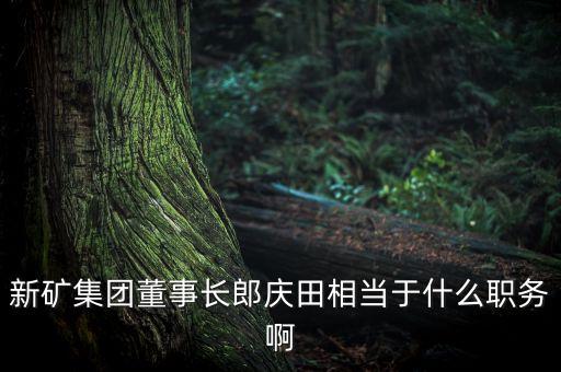 新礦集團(tuán)董事長郎慶田相當(dāng)于什么職務(wù)啊