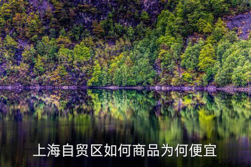 上海自貿(mào)區(qū)買(mǎi)什么便宜，上海購(gòu)物什么商品比較便宜