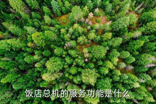 什么是服務效能，提高服務質量對酒店有什么作用