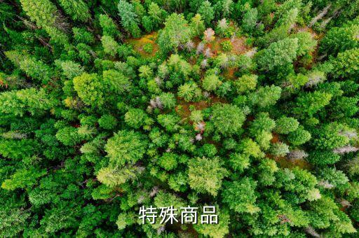 消法特殊商品是指什么，商場不可退換貨的特殊商品指哪些