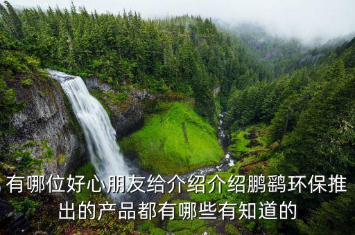 鵬鷂環(huán)保什么時候上市，我姑姑很想要了解鵬鷂環(huán)保推出的產(chǎn)品都有哪些有知道的么