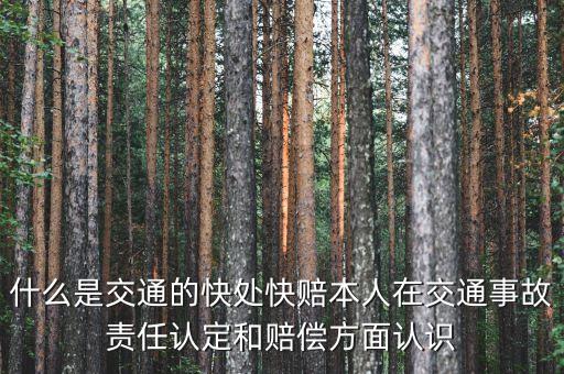 車險(xiǎn)快賠是什么，汽車快賠是什么意思