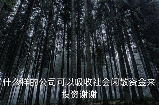 什么公司能吸儲，投資有限公司可以吸儲嗎