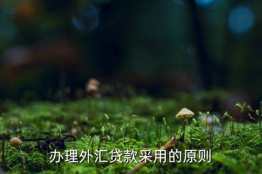 貸款三查指什么，銀行貸款三查不嚴(yán)能使貸款合同無效嗎