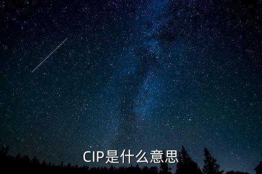 CIP是什么意思