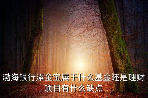 渤海銀行添金寶屬于什么基金還是理財項(xiàng)目有什么缺點(diǎn)
