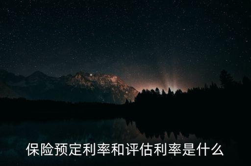 保險(xiǎn)定價(jià)利率是什么，定價(jià)利率是什么意思