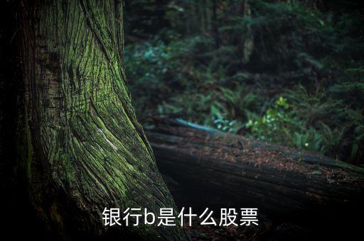 銀行b是什么股票交易，銀行b是什么股票