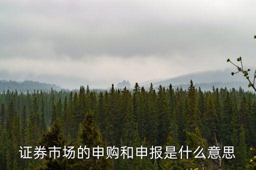 金融行業(yè)中的逐日申報(bào)是什么意思，外貿(mào)中到到銀行申報(bào)是什么意思申報(bào)什么呢哪位高人指點(diǎn)一下謝