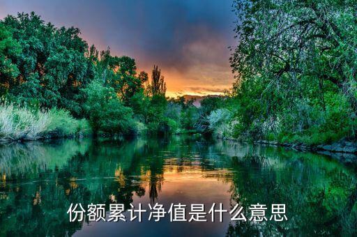 份額凈值是什么意思，基金份額凈值的基本定義