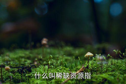 什么是稀缺資源，資源是稀缺的是什么