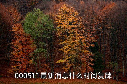 天舟文化什么時(shí)候復(fù)盤(pán)，又問(wèn)天舟什么時(shí)候復(fù)盤(pán)