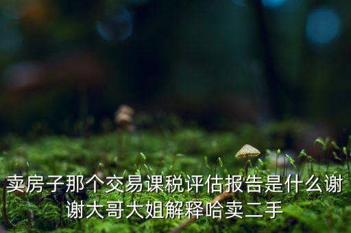 交易課稅是什么意思，名詞解釋證券交易稅