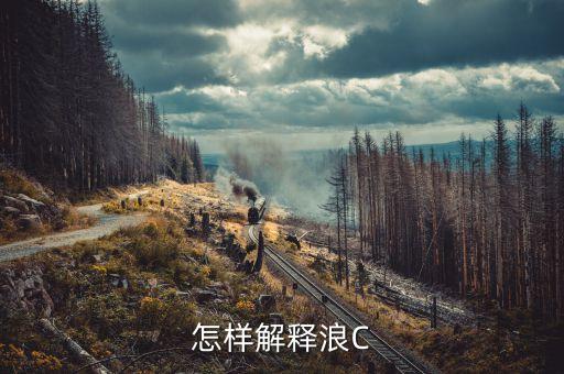 大c浪是什么意思，大a浪和c浪中包含12345個(gè)浪還是包含A