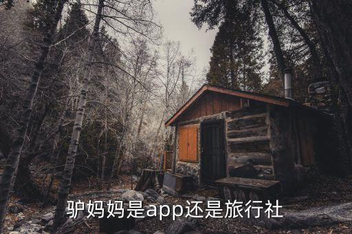 驢媽媽是干什么的，驢媽媽是什么