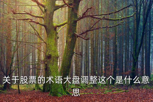 關(guān)于股票的術(shù)語大盤調(diào)整這個(gè)是什么意思