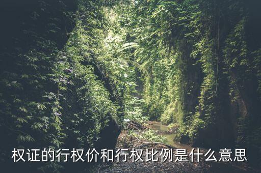 認(rèn)購權(quán)證的行權(quán)比例是什么意思，權(quán)證的行權(quán)價和行權(quán)比例是什么意思