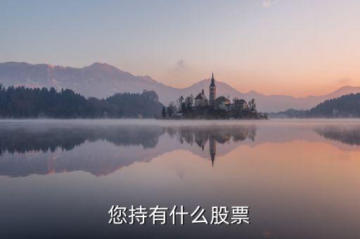 樊淑珍持有什么股，香港中央代理人持有哪些股票