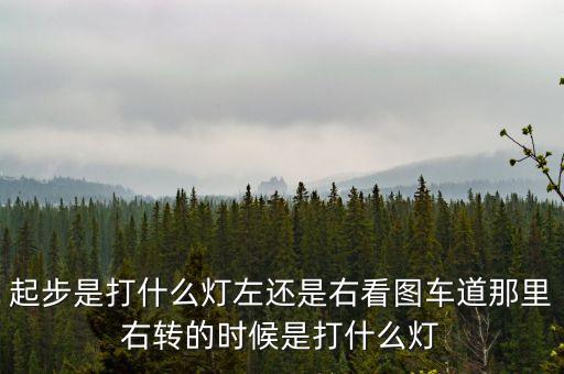 駕駛打右燈和左燈什么意思啊，起步是打什么燈左還是右看圖車道那里右轉(zhuǎn)的時候是打什么燈