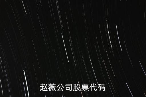 趙薇買(mǎi)的什么股票代碼，范冰冰 趙薇 股票5億買(mǎi)的什么股票
