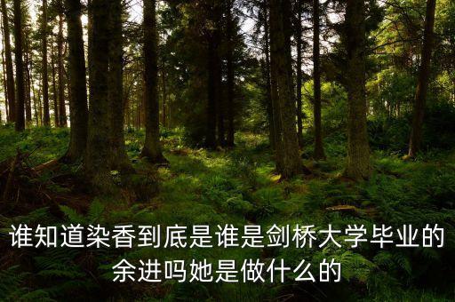 麥肯錫合伙人是什么，誰(shuí)知道染香到底是誰(shuí)是劍橋大學(xué)畢業(yè)的余進(jìn)嗎她是做什么的