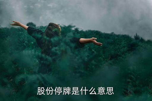 鞍重股份停牌是什么意思，鞍重股份為什么停牌