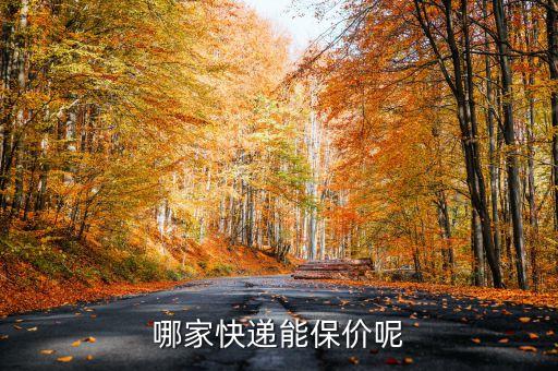什么快遞可以保價(jià)，申通快遞 和 圓通快遞 可以保價(jià)嗎