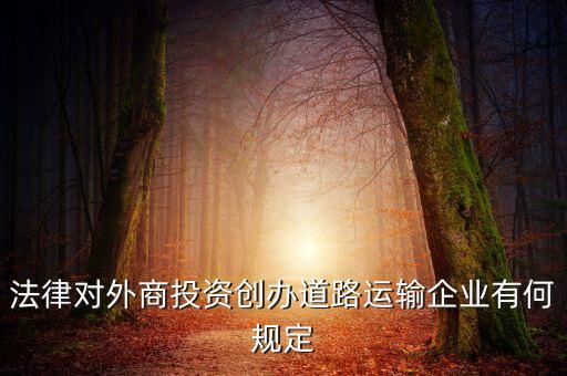 外資的車企在中國合作有什么限制，外商獨(dú)資企業(yè)是否可以從國外不加關(guān)稅將汽車帶入國內(nèi)使用