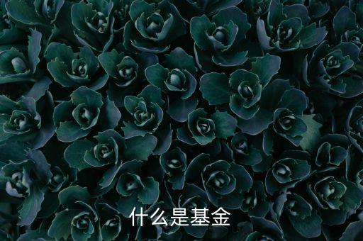 什么是普通基金，什么是普通股基金