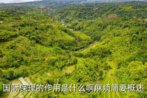 什么是國際保理，國際信用證和國際保理的區(qū)別以及風險區(qū)別