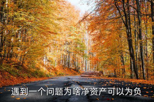 凈資產(chǎn)為負(fù)數(shù)說明什么，為什么凈資產(chǎn)會是負(fù)數(shù)