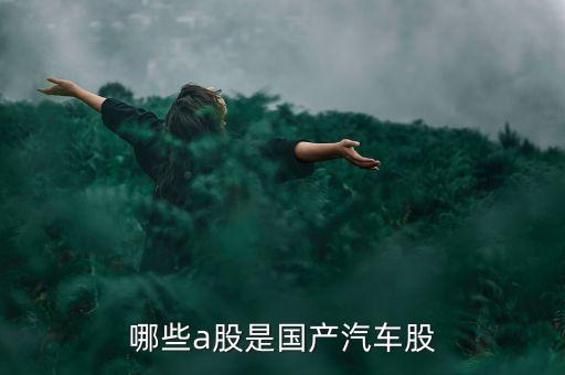 國(guó)什么汽車股票代碼是6多少，哪些a股是國(guó)產(chǎn)汽車股