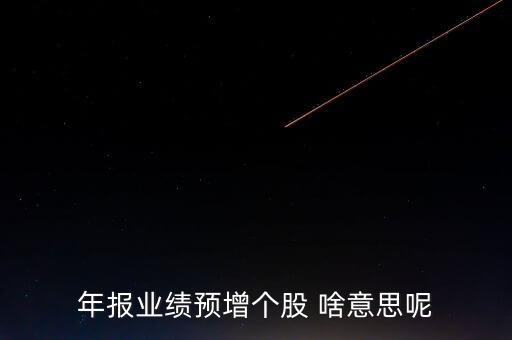 業(yè)績(jī)股是什么意思，年報(bào)業(yè)績(jī)預(yù)增個(gè)股 啥意思呢