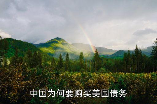 中國政府為什么買美國國債，中國為什么要買那么多美國國債能不能說得通俗一點我不太懂經(jīng)濟