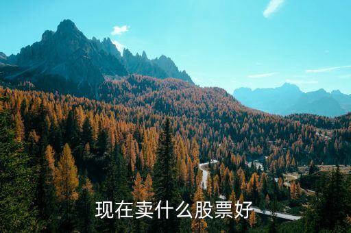 賣什么股票好，現(xiàn)在賣什么股票好
