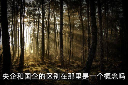 什么是央企什么是國企，請問央企和國企有什么區(qū)別最好能夠舉例說明謝謝