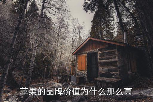 蘋果市值為什么那么高，蘋果的品牌價(jià)值為什么那么高