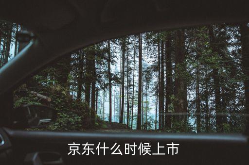 京東什么時間上市，京東什么時候上市
