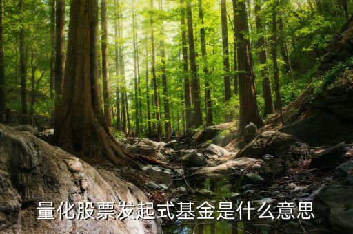 股票量化是什么意思，股份量化是什么意思