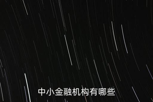 中小金融機(jī)構(gòu)有哪些