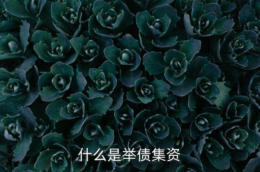 什么是舉債融資機(jī)制，什么是舉債集資