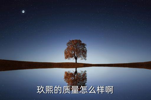 玖熙鞋子屬于什么檔次，玖熙的鞋子怎么樣 NINE WEST